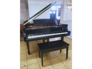 Steinway M (1)