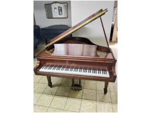 Steinway M nogal 1